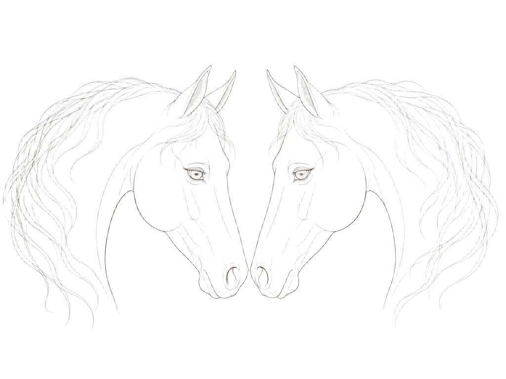 Fine-line drawing of two horses facing one another